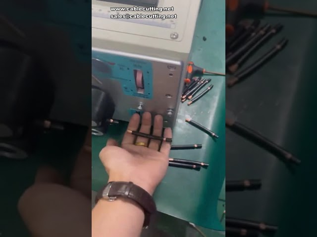 10SQMM 전선 절단 및 피복 벗김 자동화 기계