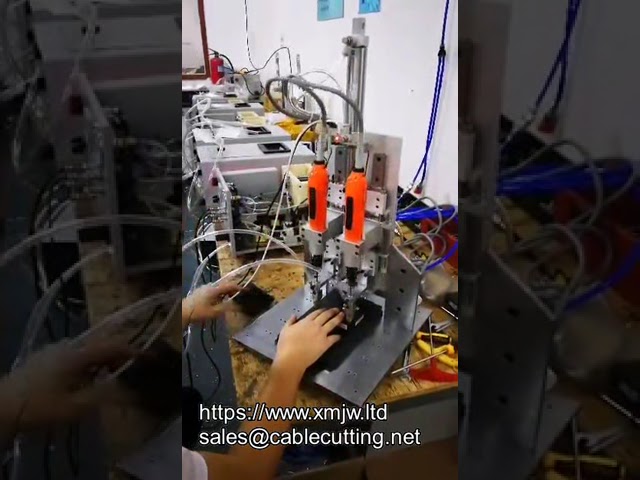 Z축 상하 이동 OEM 자동 나사 공급 장치 | 자동 나사 체결기