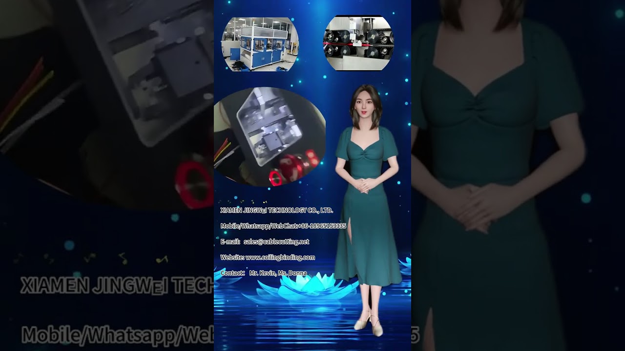 양면 Type-C 커넥터 장착 PD 충전 데이터 케이블 제조용 펄스 핫바 솔더링 머신