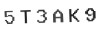 Verification Code Image